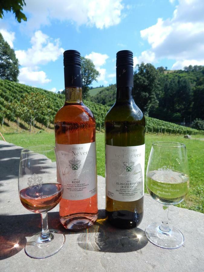 Wein Lodge Durbach - Schlossblick Экстерьер фото