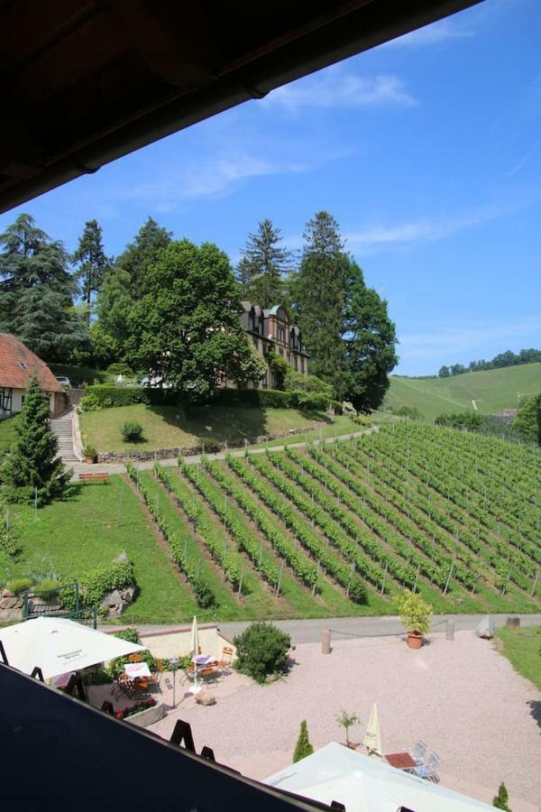 Wein Lodge Durbach - Schlossblick Экстерьер фото