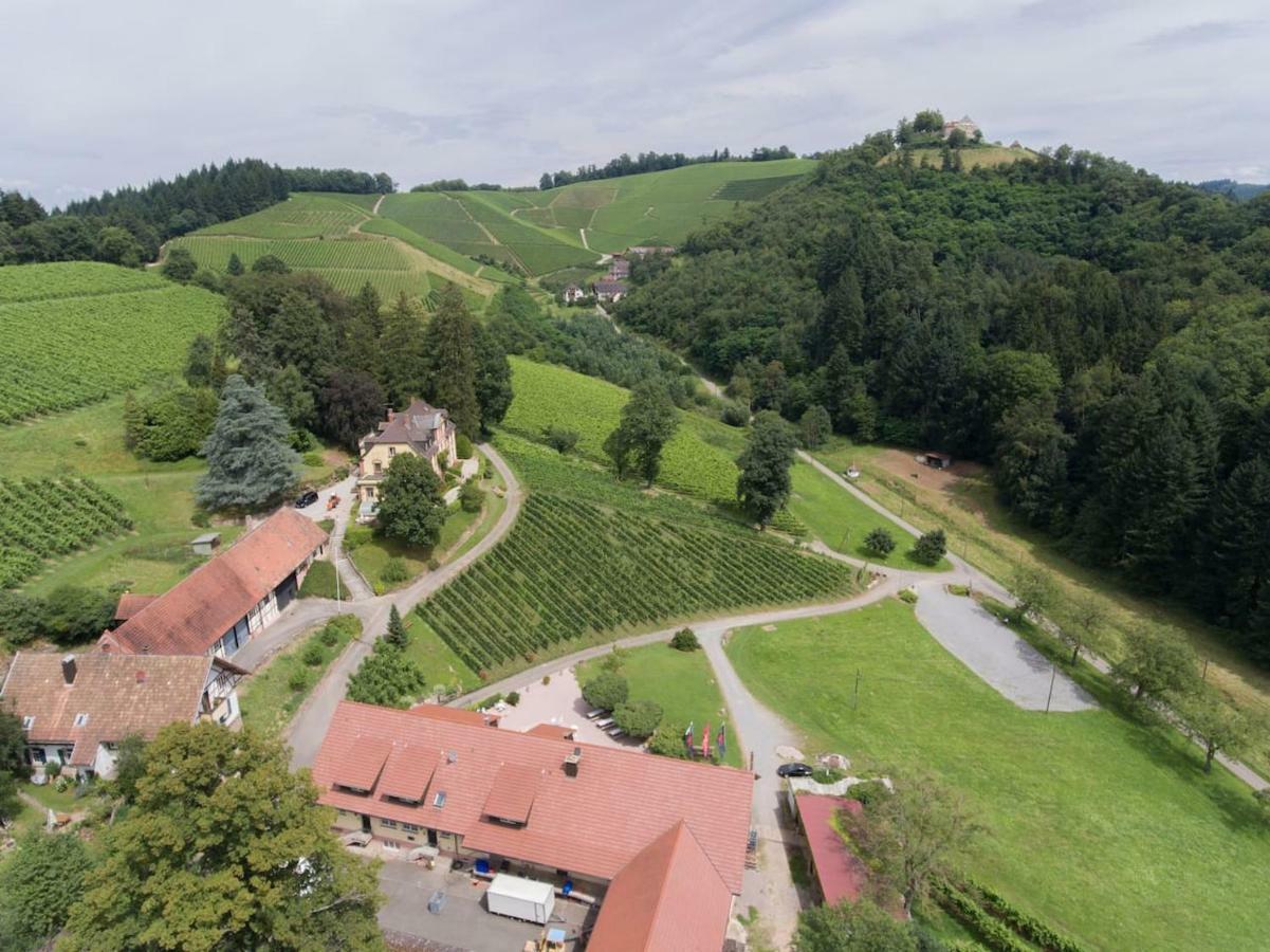 Wein Lodge Durbach - Schlossblick Экстерьер фото